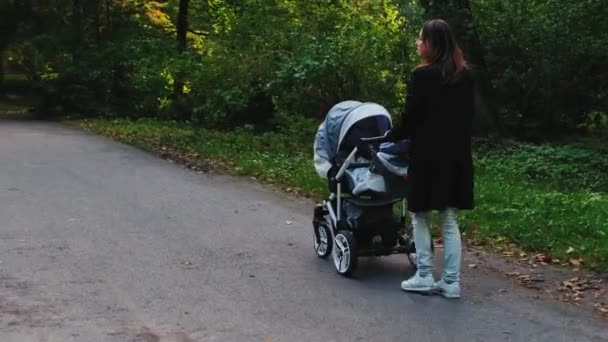 Mutter läuft mit Kinderwagen im Park. — Stockvideo