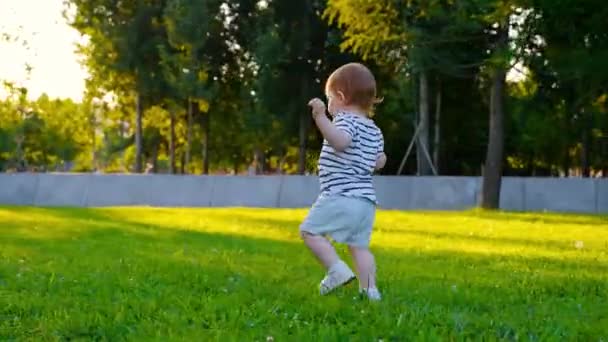 Bonito pouco menina caminha por grama — Vídeo de Stock