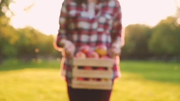 Jonge vrouw in een geruite shirt houdt in haar handen een houten kist — Stockvideo