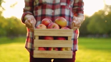 Gündelik kıyafetler giymiş kadın elinde tahta bir kutu tutuyor.
