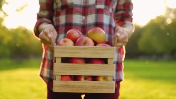 Vrouw gekleed in Casual kleding houdt een houten kist in haar handen — Stockvideo