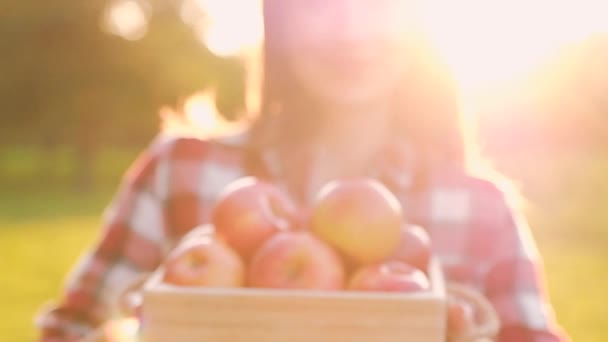 Jonge wazig vrouw in Casual kleding houdt een houten kist met appels — Stockvideo