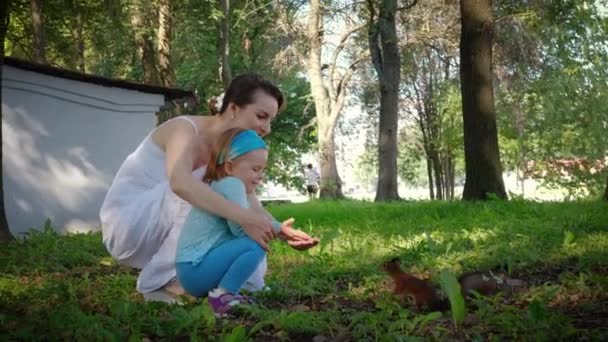 Charmante junge Mutter und niedliche Tochter füttern Eichhörnchen — Stockvideo