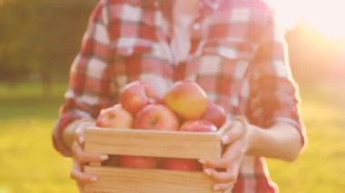 Rahat giysiler genç ince kadın elinde ahşap bir kutu tutar