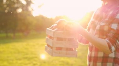 Sulu kırmızı elma ile ahşap bir sandık tutan olumlu bir genç kadının yan görünümü