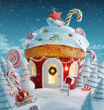 Hayret verici Noel evi