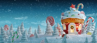Hayret verici Noel evi