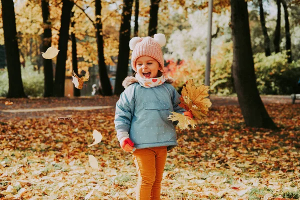 Sonbahar parkında elinde bir demet sarı akçaağaç yaprağı tutan güzel mutlu çocuk. Parkta güzel bir çocuk yatağı. Klasik film görüntüsü