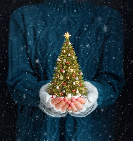 Leuke Vrouw Houdt Versierde Kerstboom Haar Handen Vrolijk Kerstfeest Een — Stockfoto
