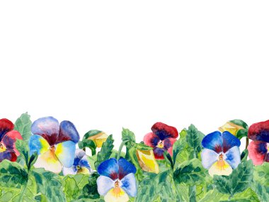 Şirin suluboya elle boyanmış çiçekler, Violet. Davetiye, düğün kartı yazdırmak için kullanılabilir.