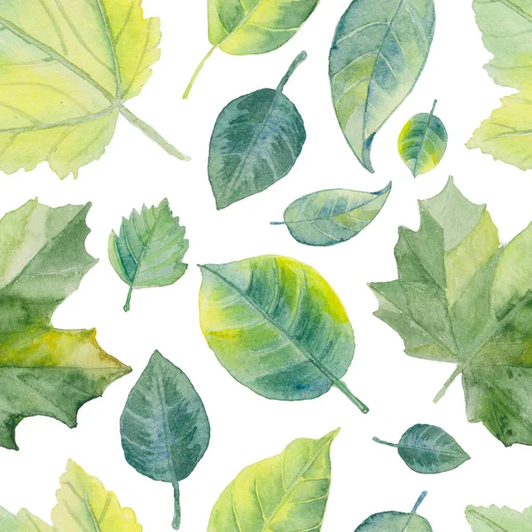 Απρόσκοπτη Φυλλώματα Μοτίβο Φυσικά Κλαδιά Πράσινα Φύλλα Απρόσκοπτη Μοτίβο Πράσινα — Φωτογραφία Αρχείου
