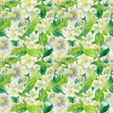 Şirin suluboya el boyası çiçekler Jasmine. Tekstil, duvar kağıdı, hediye ambalajı, dekorasyon, tasarım kartları, davetiye, düğün kartı için kullanılabilir. Kusursuz suluboya çiçek deseni. 