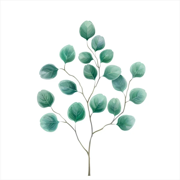 Eucalyptus Silverdollar Akvarell Vektorillustration Mint Blå Gröna Toner Växtbaserade Design Stockvektor