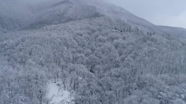 Drone uçuş karda yalnız dağ evi dağlara kış kaplı. Beyaz beyaz ağaçlar üzerinde uçmak.