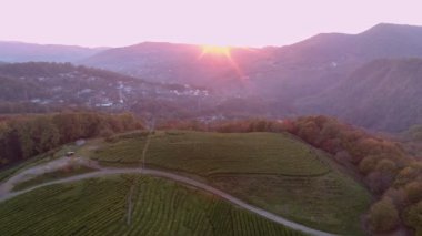 Hava üstgeçidin yeşil peyzaj ve köy dağlarda. Günbatımı sırasında vurdu. Çay alanındaki tek araba.