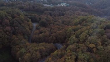 Kırmızı araba sürüş dolambaçlı yolda anteni. Sonbahar, sarı yeşil orman