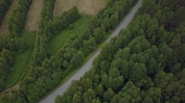 Hava dron görünümü. Yolun yeşil yaz ormandaki üzerinden uçmak. Yukarıdan aşağı atış. Düşük trafik, kırmızı ve siyah araba Road.