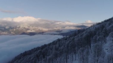 Dağlarda ormanın havadan görünümü. Arka plan bulutlara. Drone fly bulut ve orman dağlarında. etkileyici dağ kış manzarası.