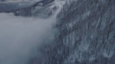 Drone fly dağlarda bulutların üzerinde. Teleferik karda orman kaplı. Muhteşem kış Kar manzarası. Havadan görünümü, uçak sinek değil ve kamera yukarı taşı.