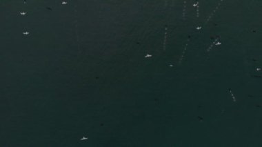 Kuşlar havadan görünüm Flock farklı yönde mavi deniz suyu üzerinde sinek