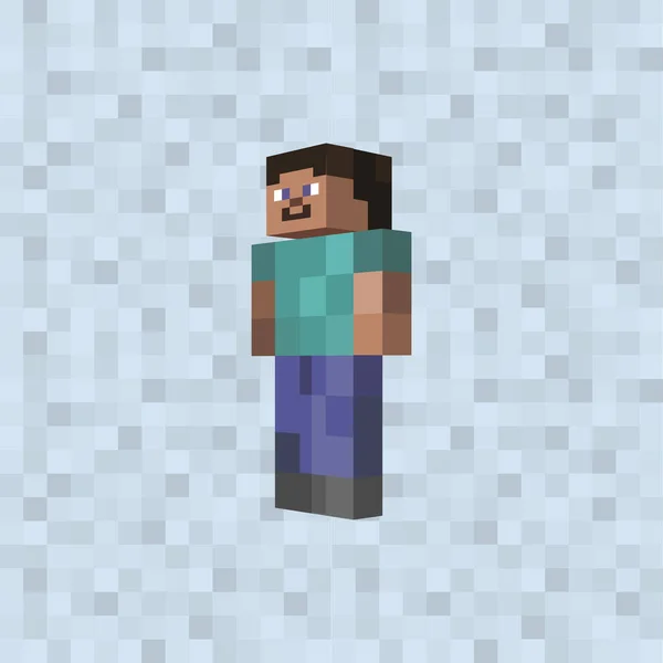 Minecraft Steve Skin Template Minecraft Steve Skin Template