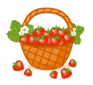 Beyaz arka plan üzerinde izole çilek sepeti. Vektör çizim.