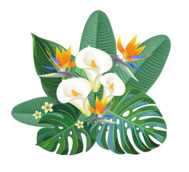 Cennet kuşu çiçekler ve calla lily tropikal kompozisyonu. Vektör çizim.