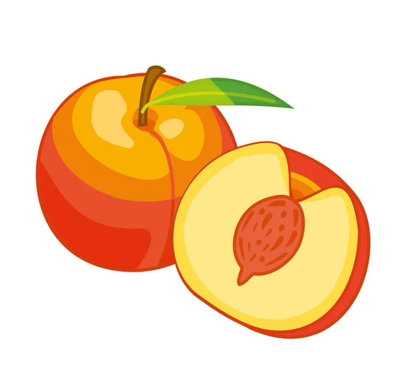 Peach Isolerad Vit Bakgrund Vektor Illustration — Stock vektor