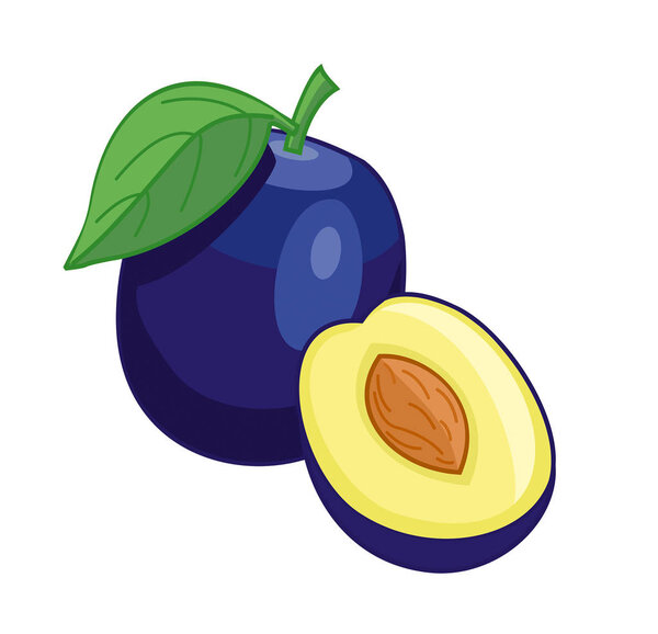 Слива изолирована на белом фоне. Векторная иллюстрация
.