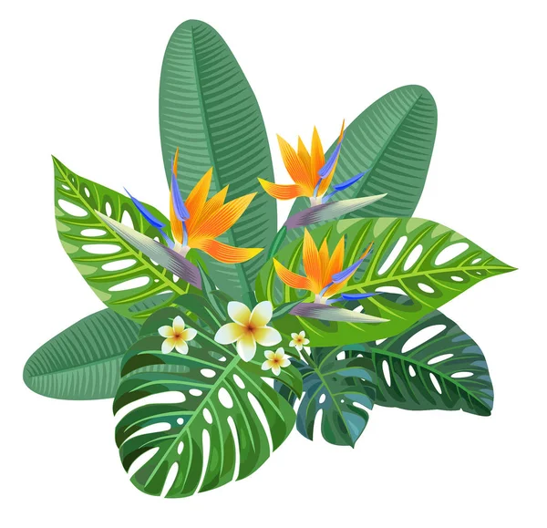 Tropische Samenstelling Met Paradijsvogel Bloemen Vectorillustratie — Stockvector