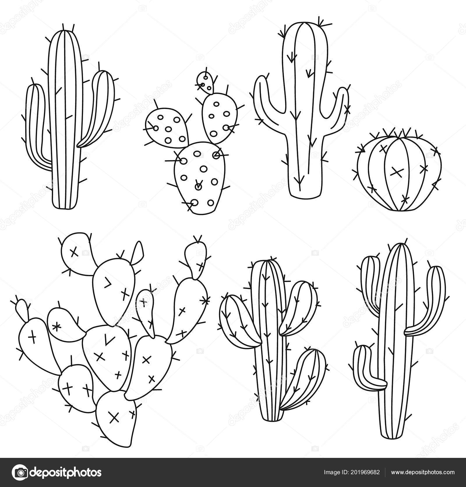 Cactus set vector design illustration isolated on white background 1844289  Vector Art at Vecteezy