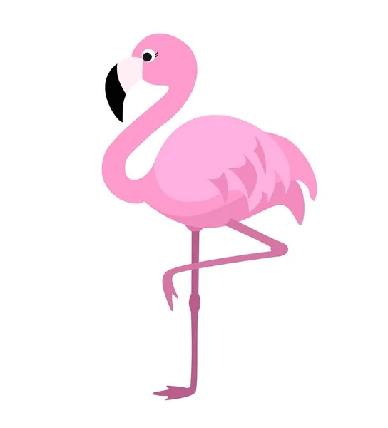 Stiliserade Flamingo Isolerad Vit Bakgrund Vektorillustration — Stock vektor