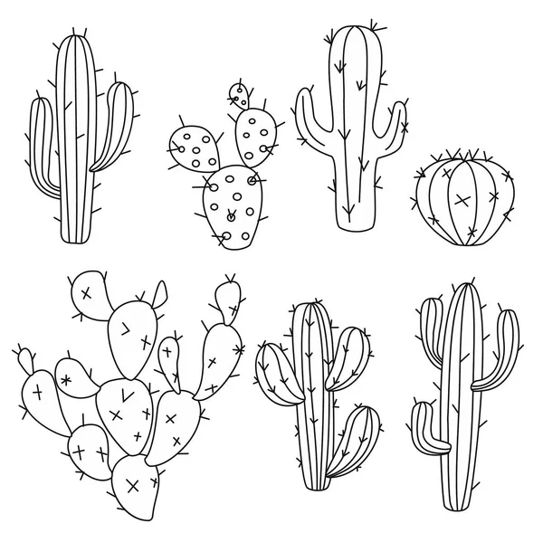 Ilustraciones Vectoriales Cactus Conjunto Cactus Dibujado Mano — Vector de stock