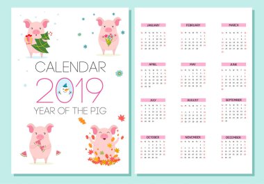 Takvim 2019 şirin domuzlarla. Vektör çizim.