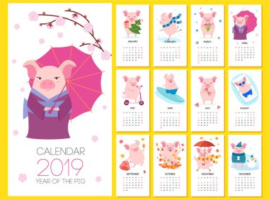 Takvim 2019 şirin domuzlarla. Vektör çizim.