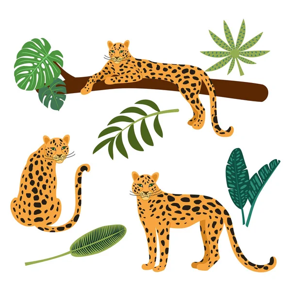 Coleção Leopardos Folhas Tropicais Ilustrações Vetoriais Isoladas Sobre Fundo Branco —  Vetores de Stock
