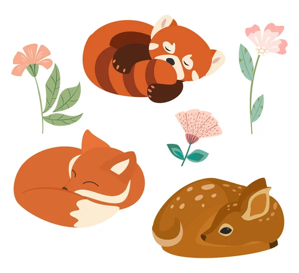 Cute Vector Illustration Little Fox Red Panda Deer Isolated White — Stock Vector