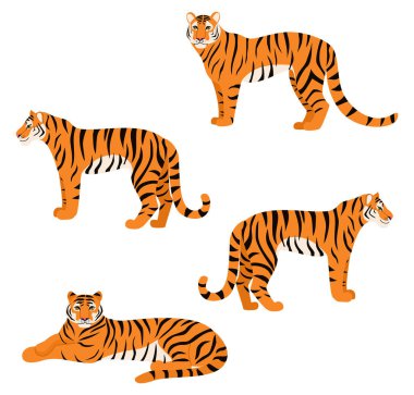  Set of tigers isolated on white background. Vector illustration. clipart