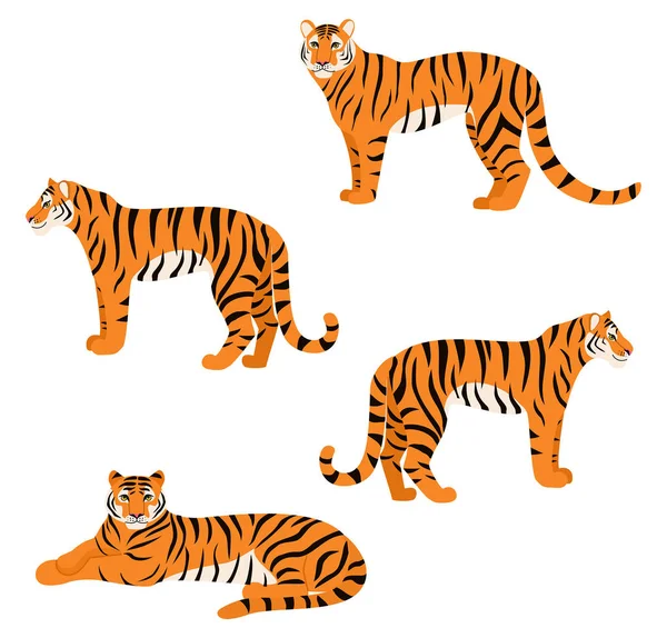 Conjunto Tigres Isolados Sobre Fundo Branco Ilustração Vetorial — Vetor de Stock