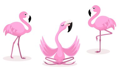 Beyaz arka plan üzerinde izole karikatür flamingolar kümesi. Vektör çizimi.