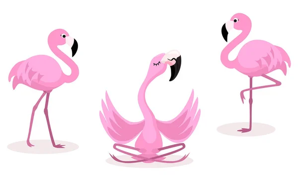 Reihe von Cartoon-Flamingos isoliert auf weißem Hintergrund. Vektorillustration. — Stockvektor
