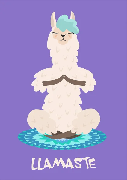 Yoga llama meditates isolated on purple background. Vector illustration.