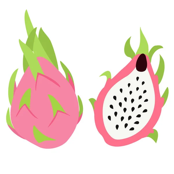 Dragon Fruit isolerad på vit bakgrund. Tropisk vektor illustration. — Stock vektor