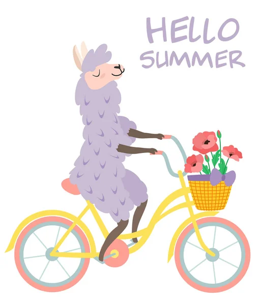 Çiçeklerle bir bisiklet üzerinde sevimli bir lama Komik illüstrasyon. Tebrik kartı, banner, kartpostal, poster için vektör şablonu. — Stok Vektör