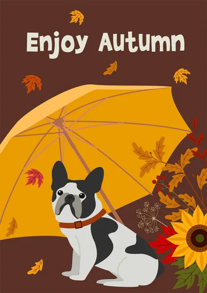 Autumn illustration with a cute dog and umbrella. Vector flat design for card, poster, banner. Beautiful template. — Stock Vector