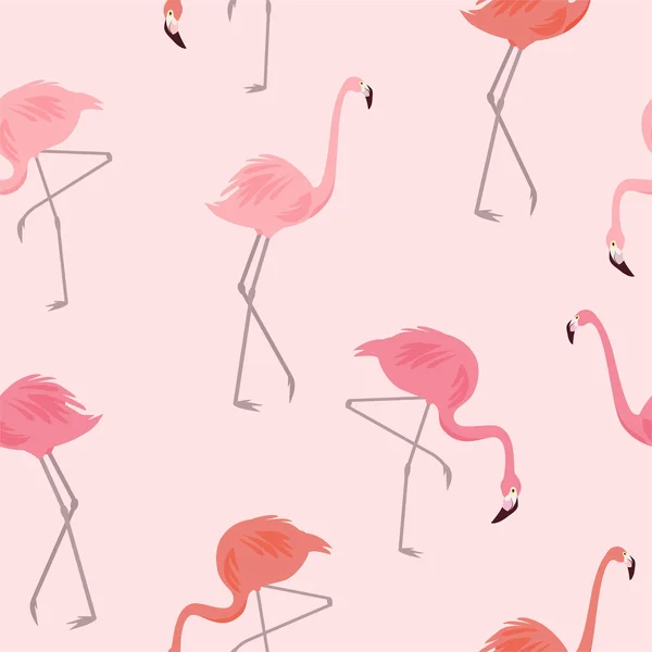 Vectorpatroon Met Flamingo Mooie Naadloze Textuur — Stockvector