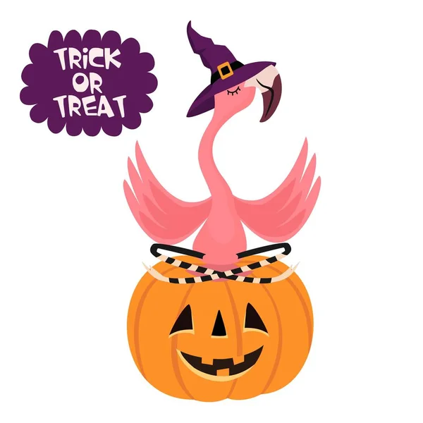 Buon Halloween Fenicottero Cartone Animato Con Cappello Seduto Una Zucca Vettoriale Stock