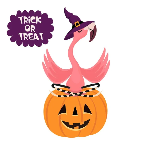 Glad Halloween Tecknad Flamingo Med Hatt Sitter Pumpa Rolig Vektor Stockvektor