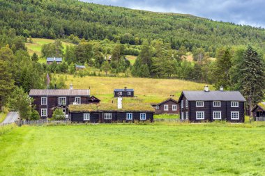 Evlerde Norveç kırsal, Norveç