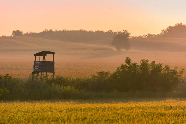 Avcılık yüksek-stand güneş